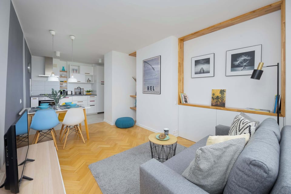 Living room with a fold-out sofa bed, TV and kitchenette.