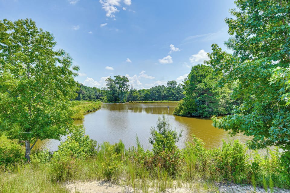 Catch & Release Fishing On-Site