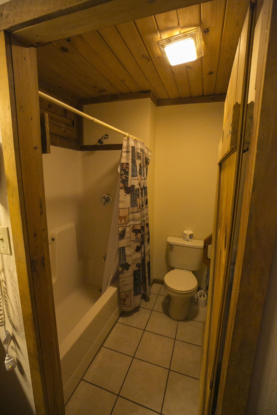Combined shower/tub, hair dryer, towels