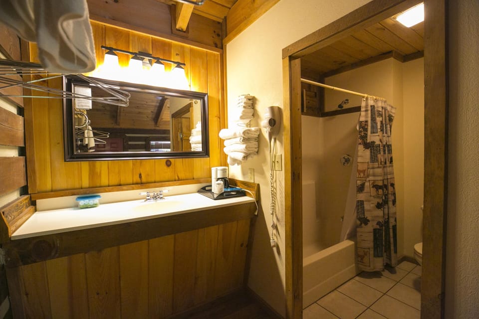 Combined shower/tub, hair dryer, towels