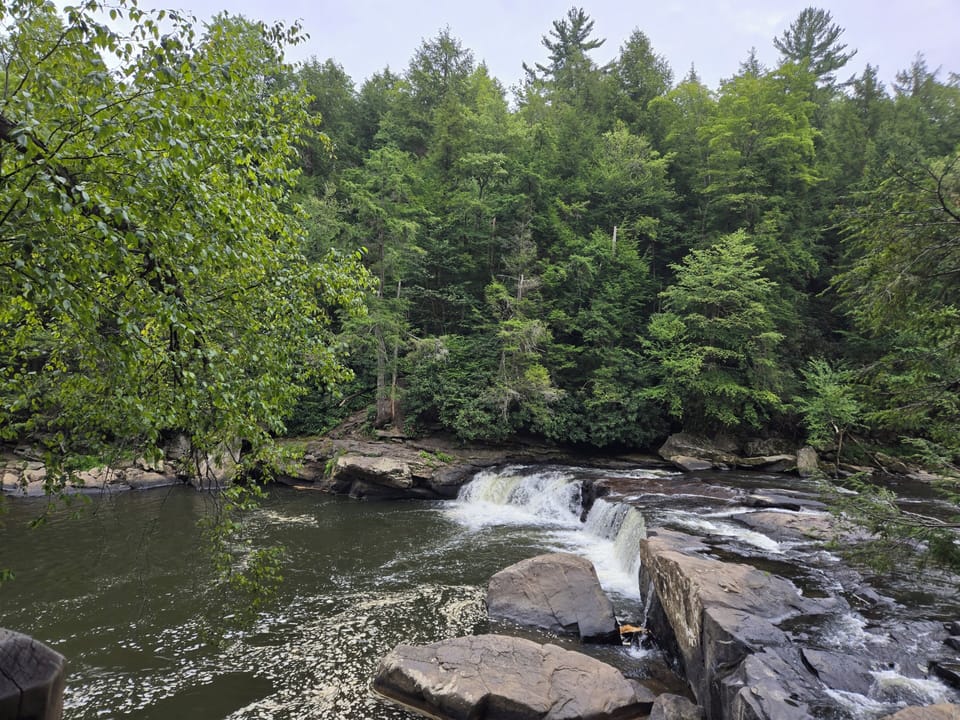 Swallow Falls State Park 