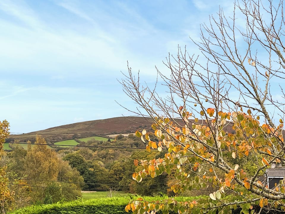 Autumn from the balcony | Black Hill View, Newton Abbot