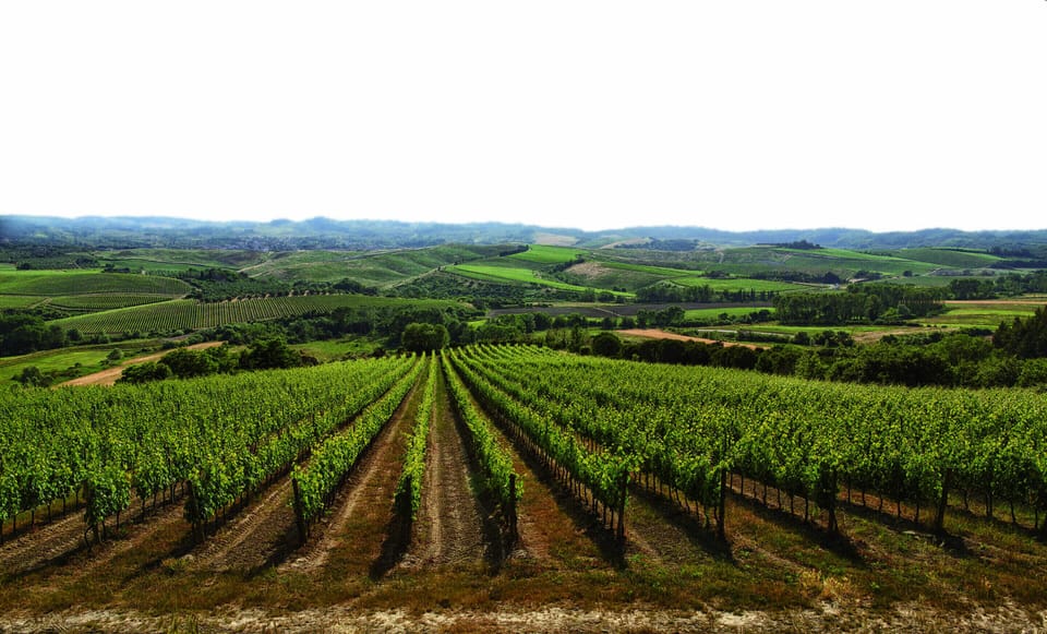Winery