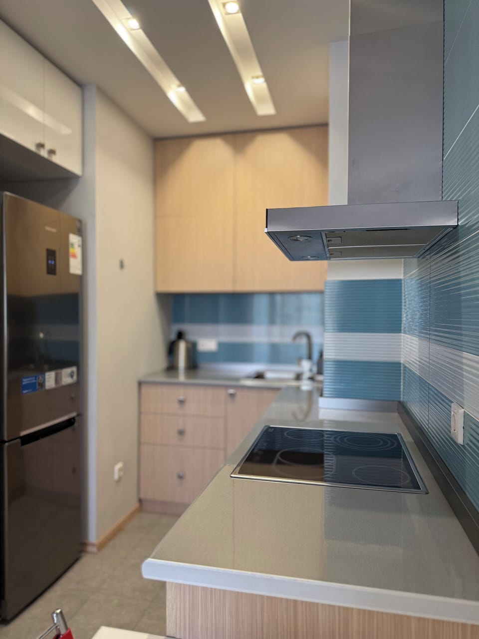 Deluxe Apartment, 2 Bedrooms, Balcony, Courtyard View | Private kitchen | Fridge, microwave, oven, stovetop