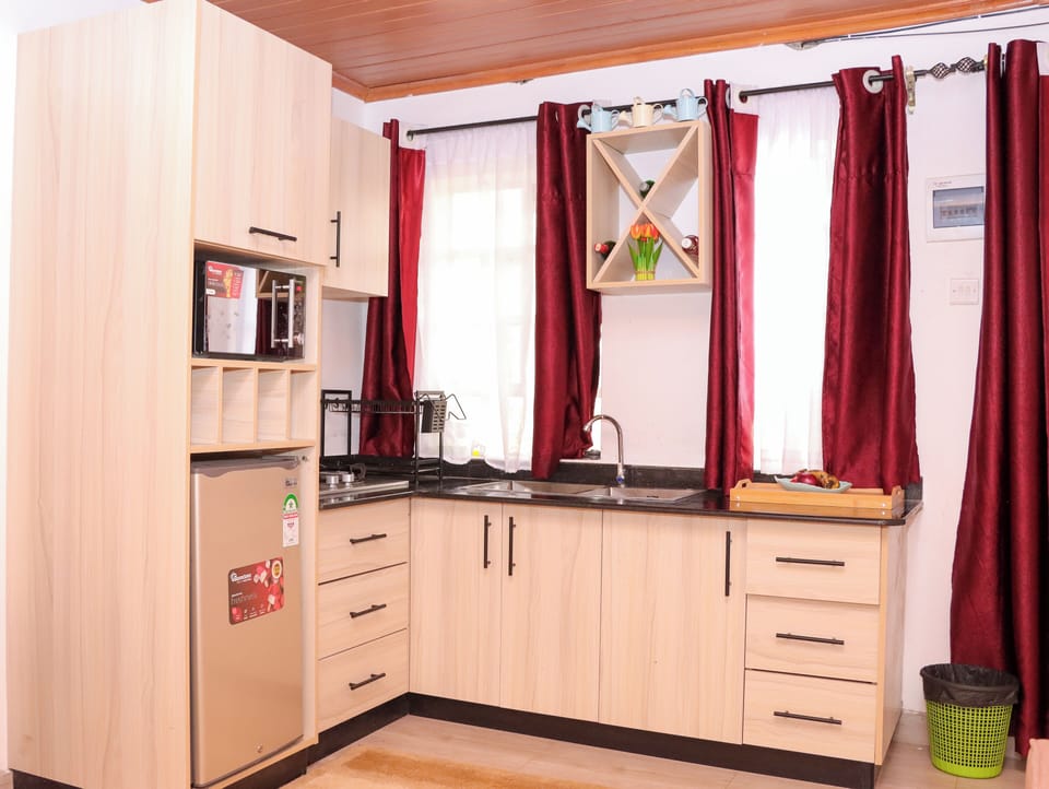 Deluxe Apartment, City View | Private kitchen | Fridge, microwave, cookware/dishes/utensils