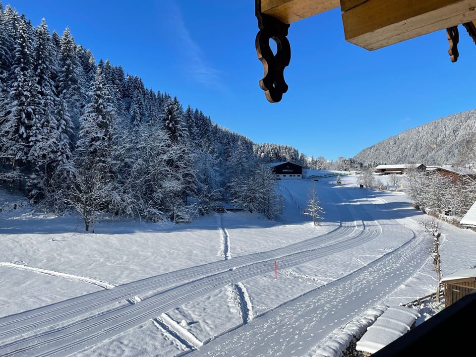 View from property