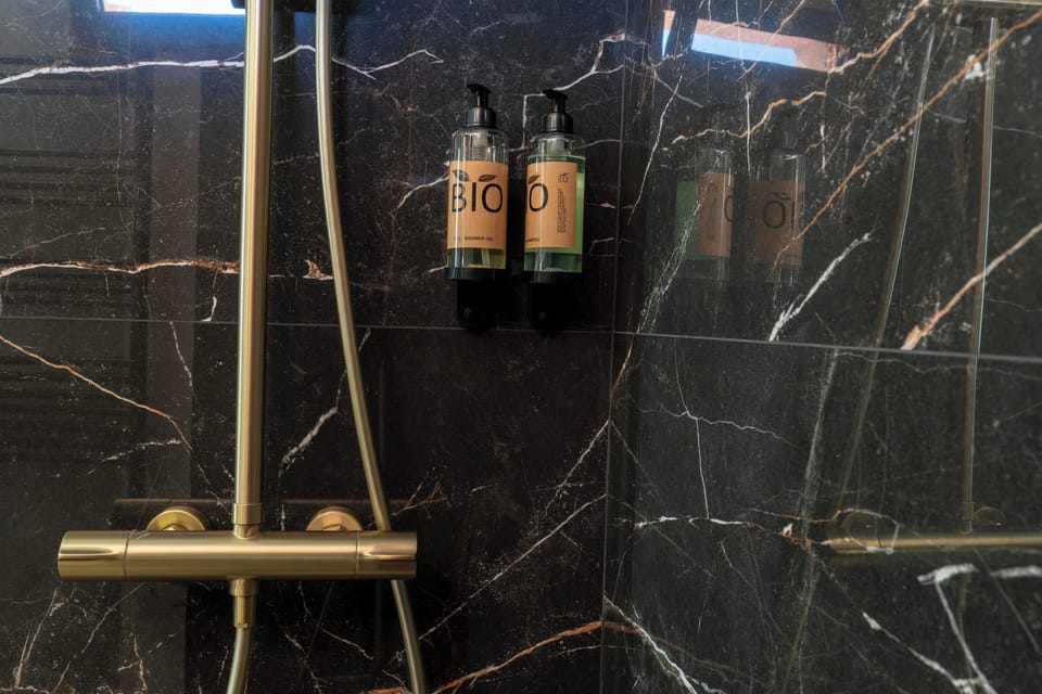 Deluxe Double Room | Bathroom | Hair dryer, towels, soap, shampoo