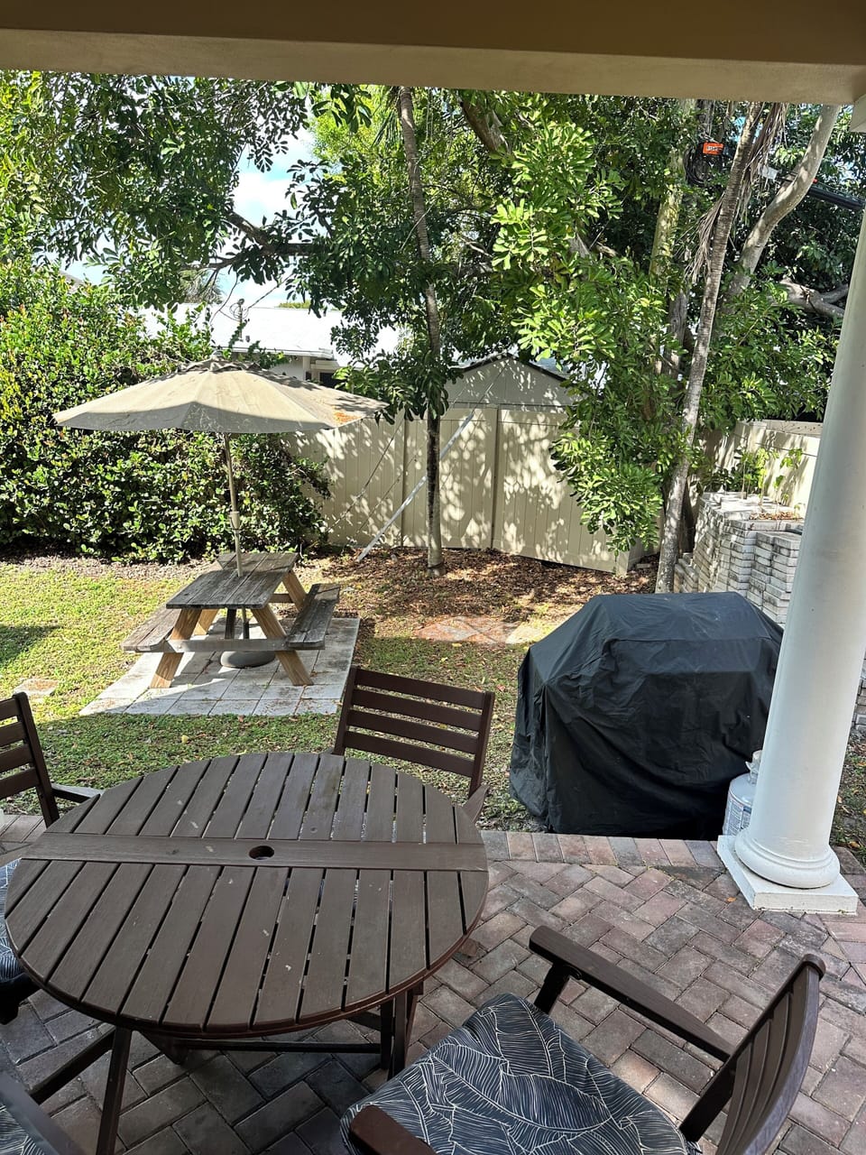 Backyard