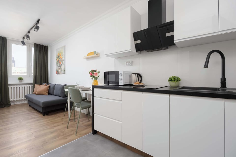 A studio view from the corner, capturing the full room layout including kitchen, sleeping area, and TV.

