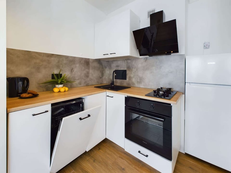 Kitchenette with hob, hood and fridge with freezer.