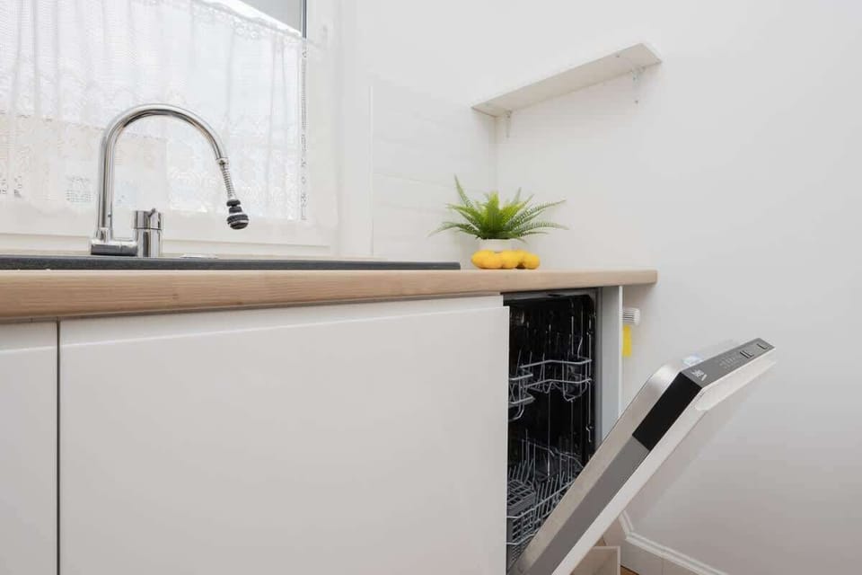 A close-up of a kitchen sink and dishwasher below the counter. A small plant adds a pop of green to the clean space.