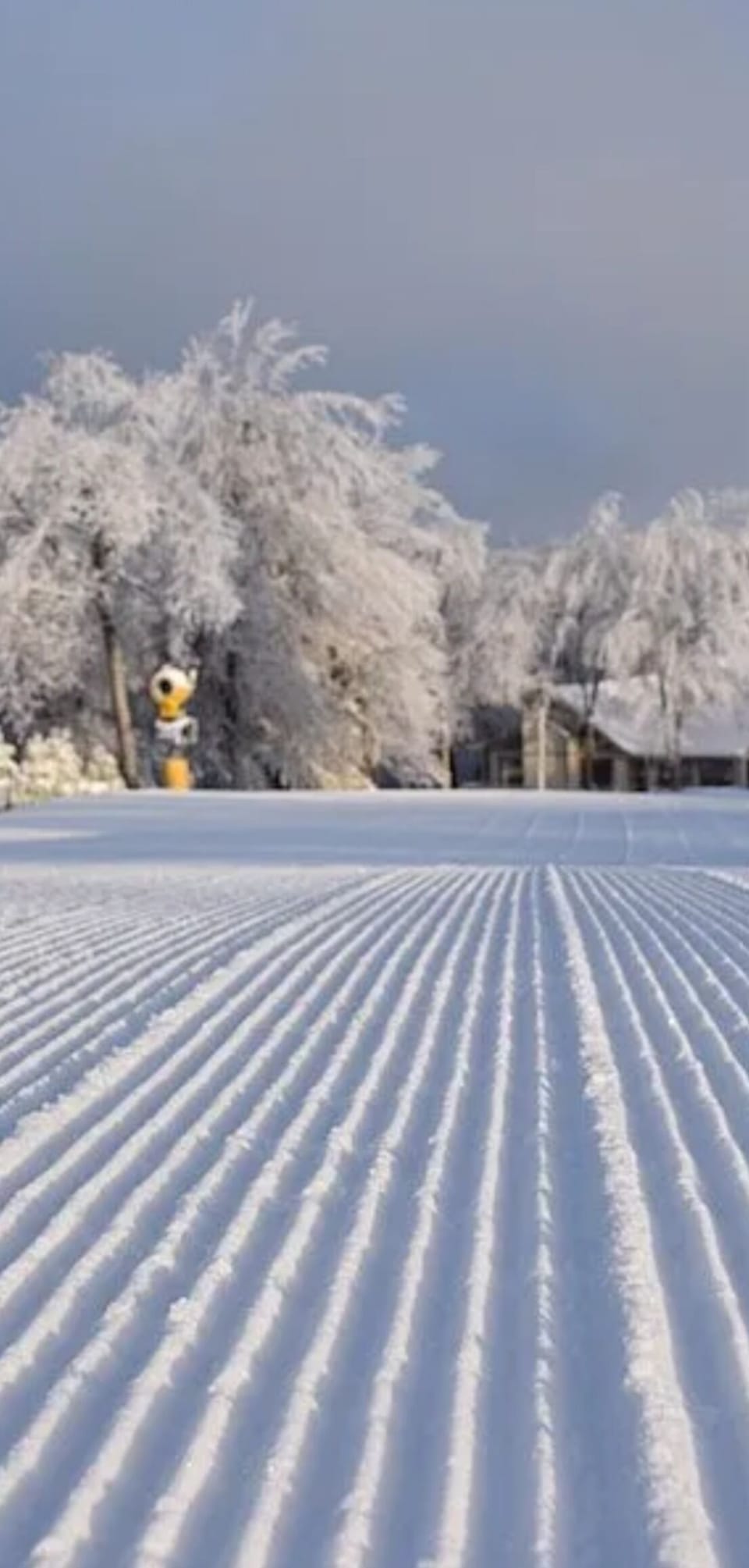 Miscellaneous