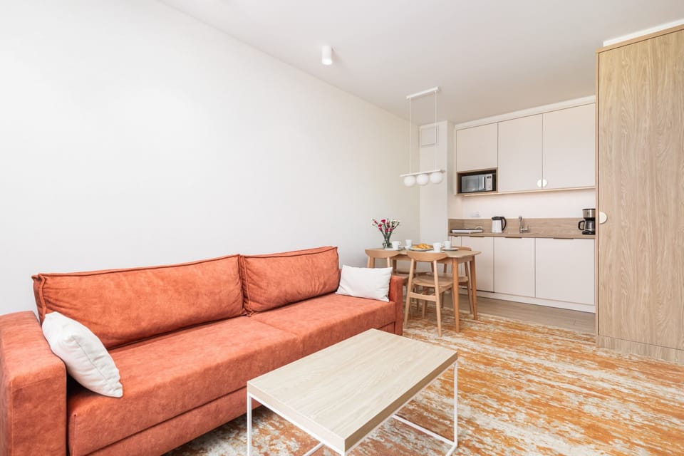Living room with functional kitchenette and orange sofa.