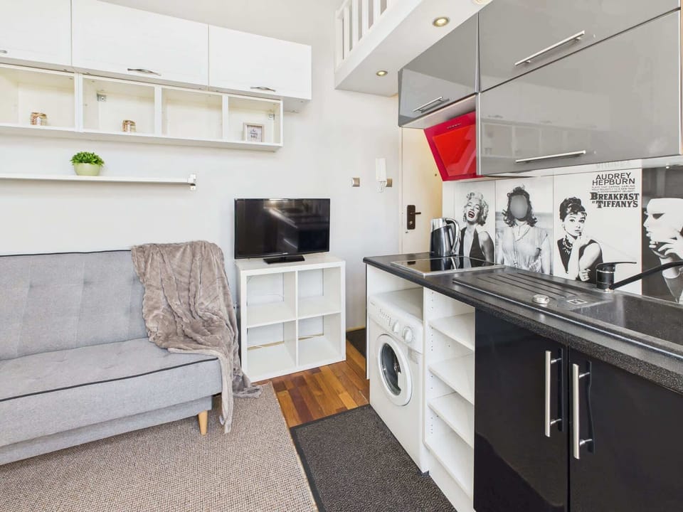 Kitchen with black cabinets, a red accent, and a ladder leading to the sleeping mezzanine.