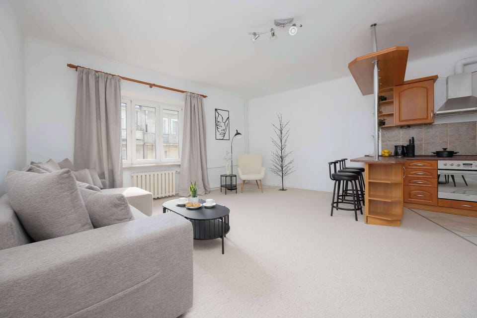 Modern apartment with a spacious, bright living room, elegant kitchenette, and large windows letting in plenty of natural light.