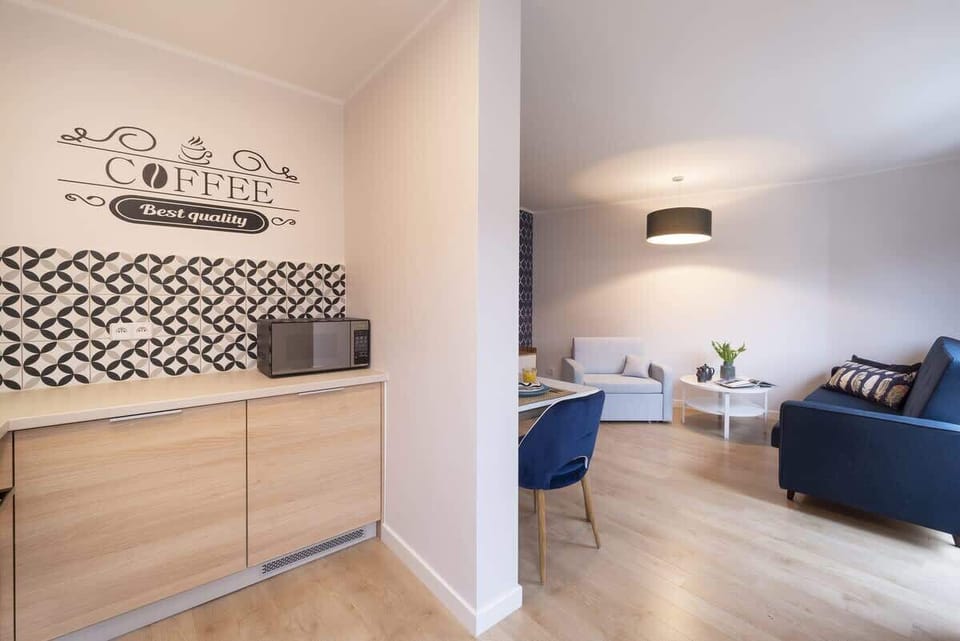 Functional combination of kitchenette and living room. 