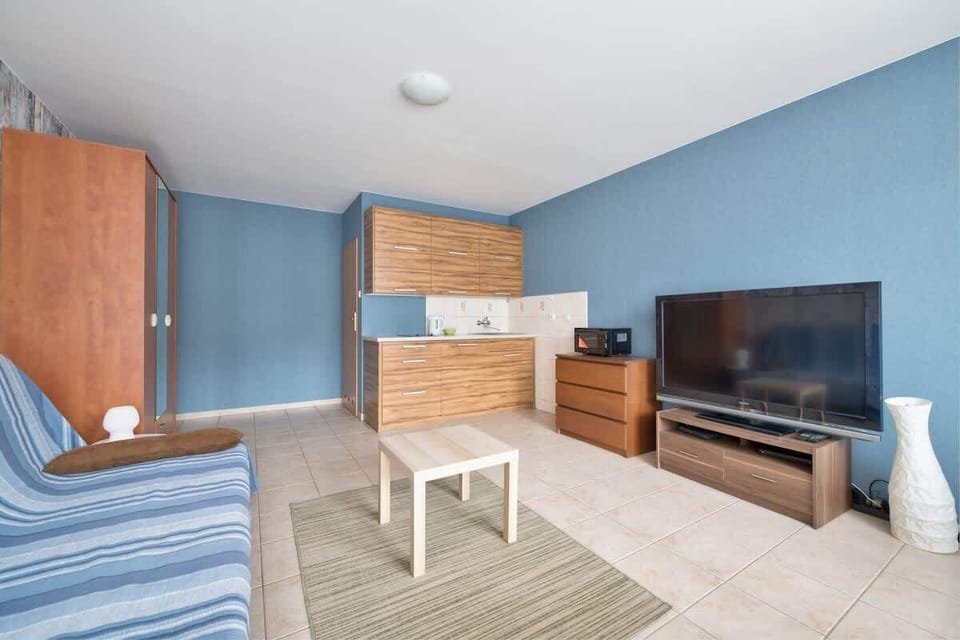 A cozy apartment with a blue wall referring to the marine climate.