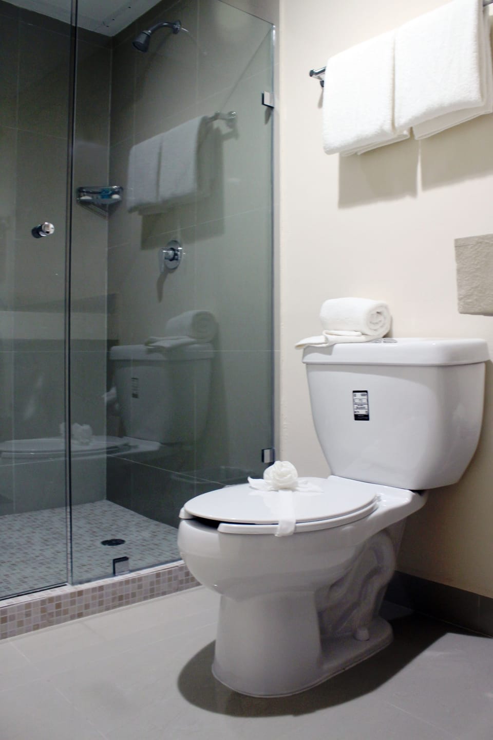 Shower, free toiletries, hair dryer, towels