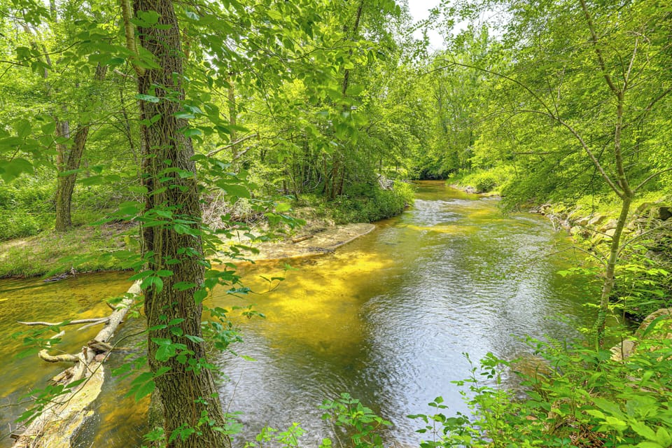 On-Site Creek