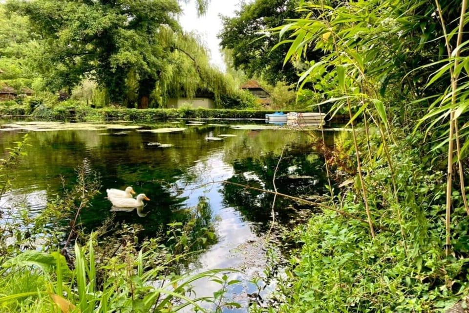 Surroundings [summer] (1-5 km)