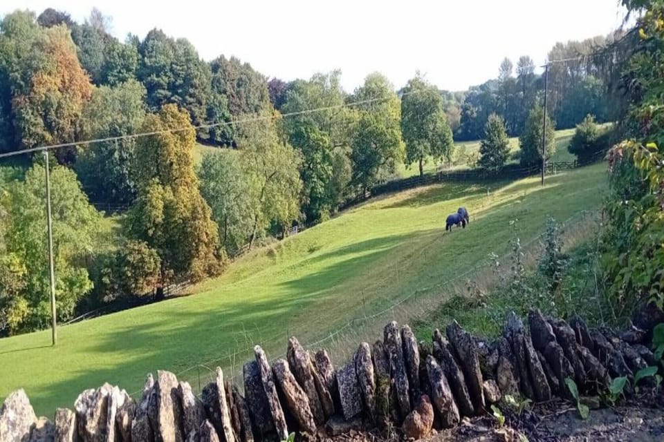 Region [summer] (>5 km)