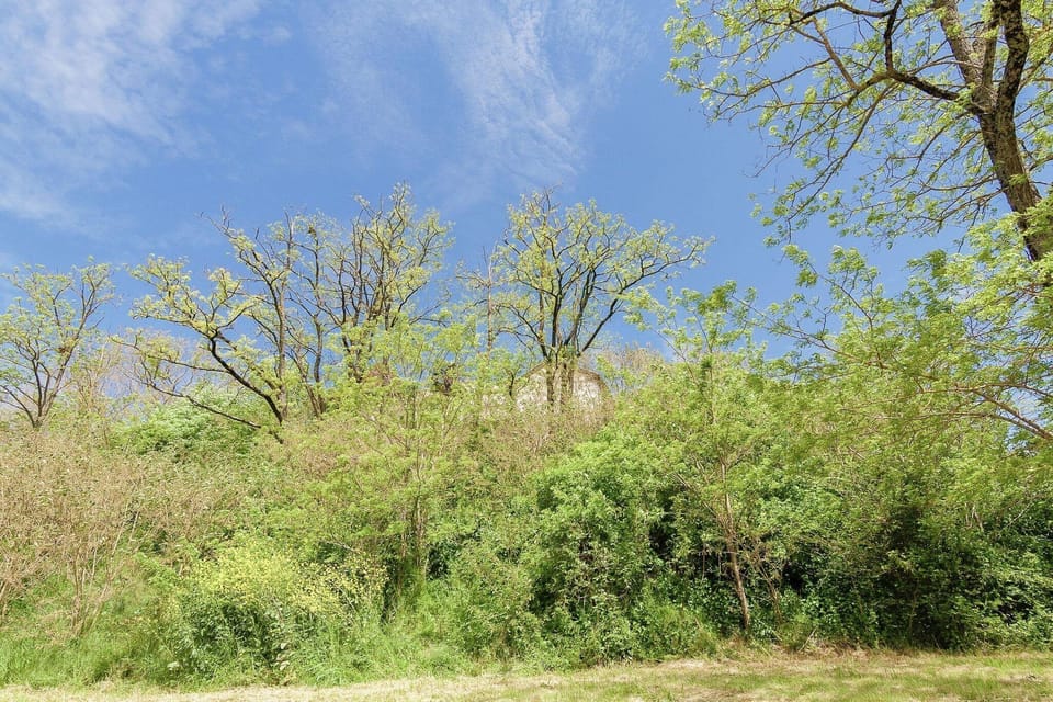 Surroundings [summer] (1-5 km)