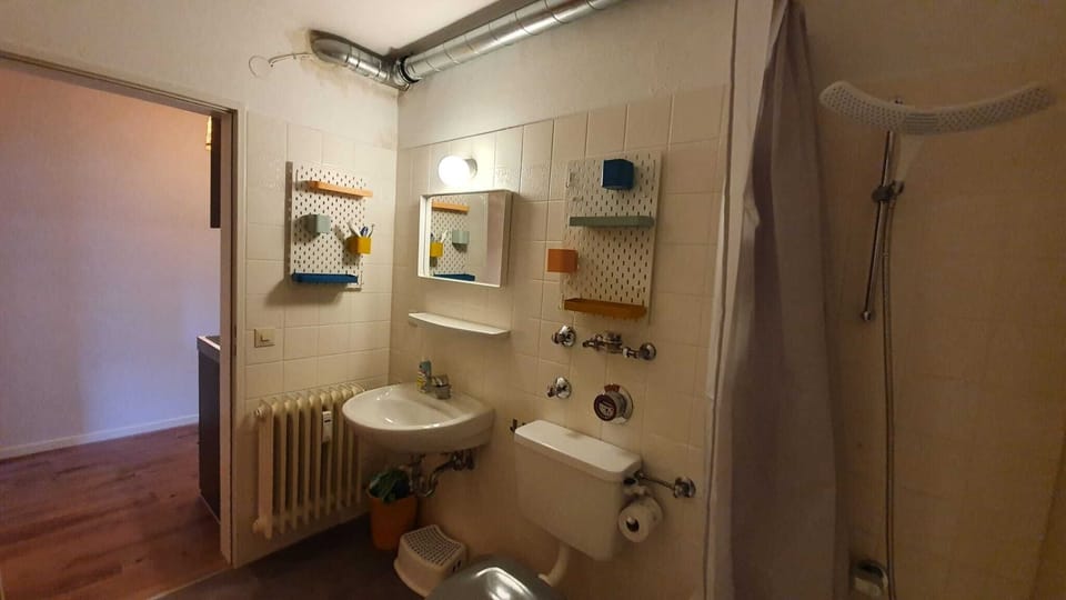 Apartment, 2 Bedrooms, Smoking, Terrace | Bathroom | Toilet paper