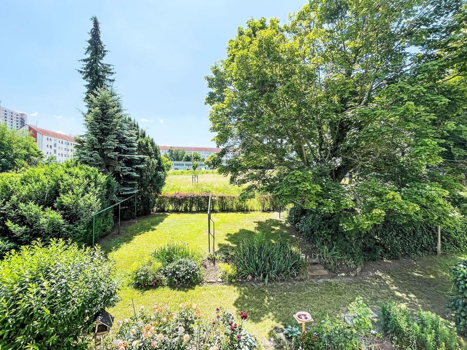 Green, Leaf, Vegetation, Shrub, Garden, Plant Community, Groundcover, Woody Plant, Lawn, Hedge