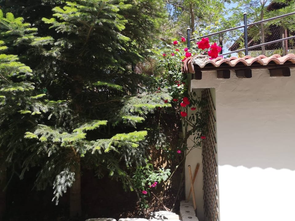 Villa, 4 Bedrooms | Garden