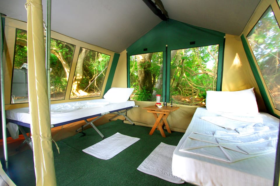 Premium Tent, 4 Bedrooms | Free WiFi
