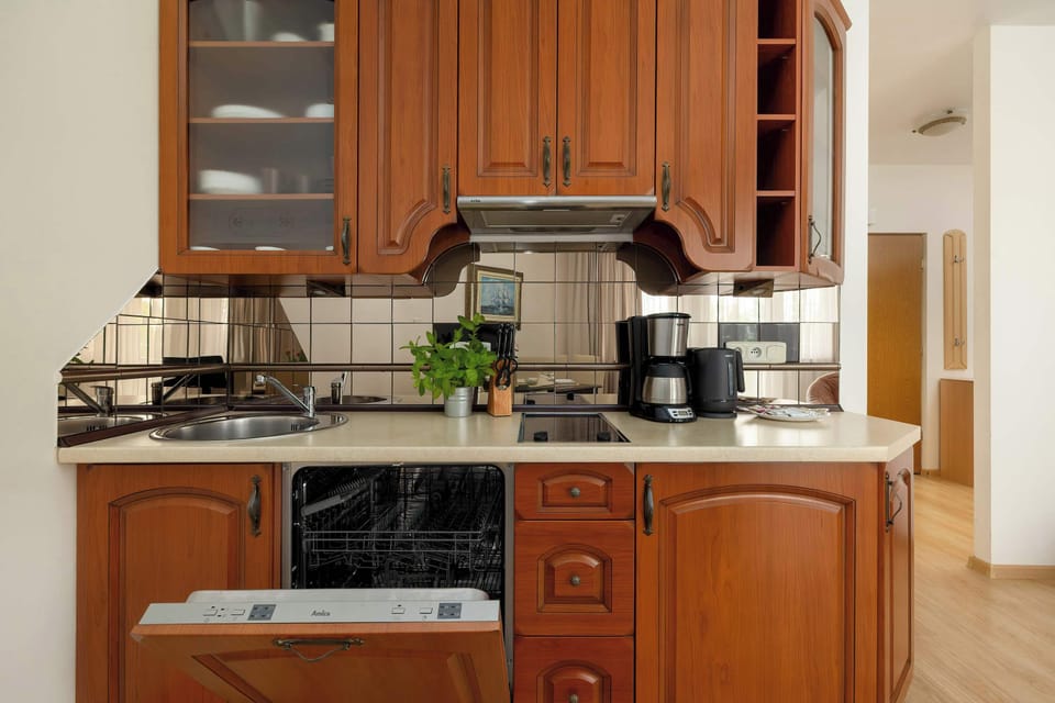 Kitchenette with induction hob, electric kettle, coffee maker (pour-over), refrigerator, toaster and dishwasher.