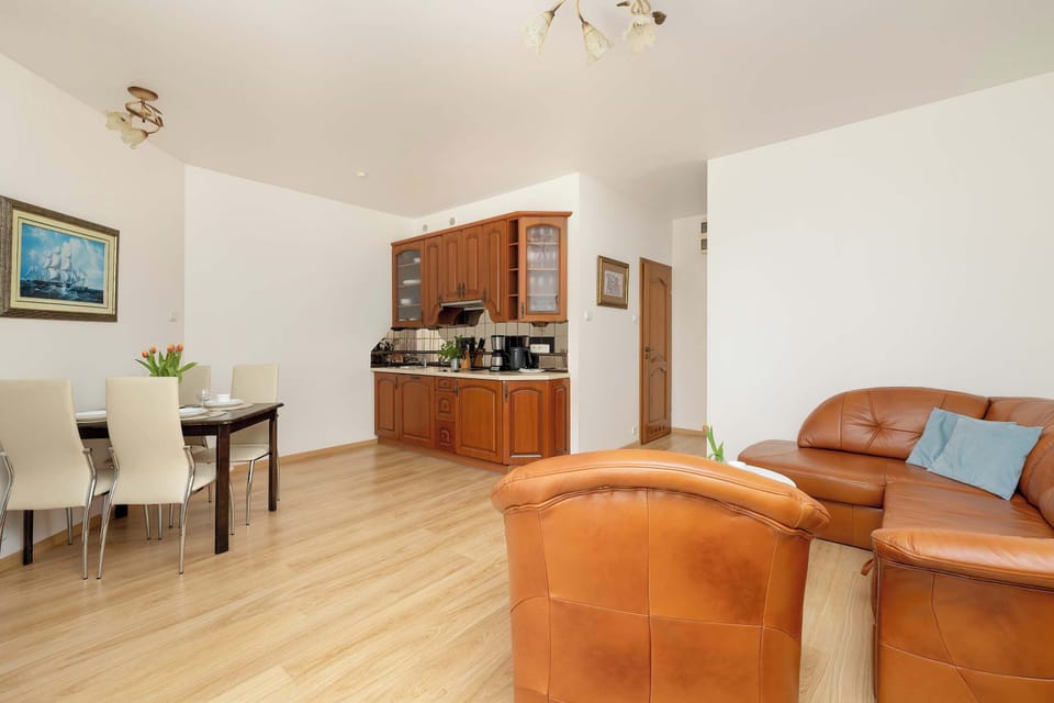 Living room with fold-out sofa, TV and kitchenette with dining area.