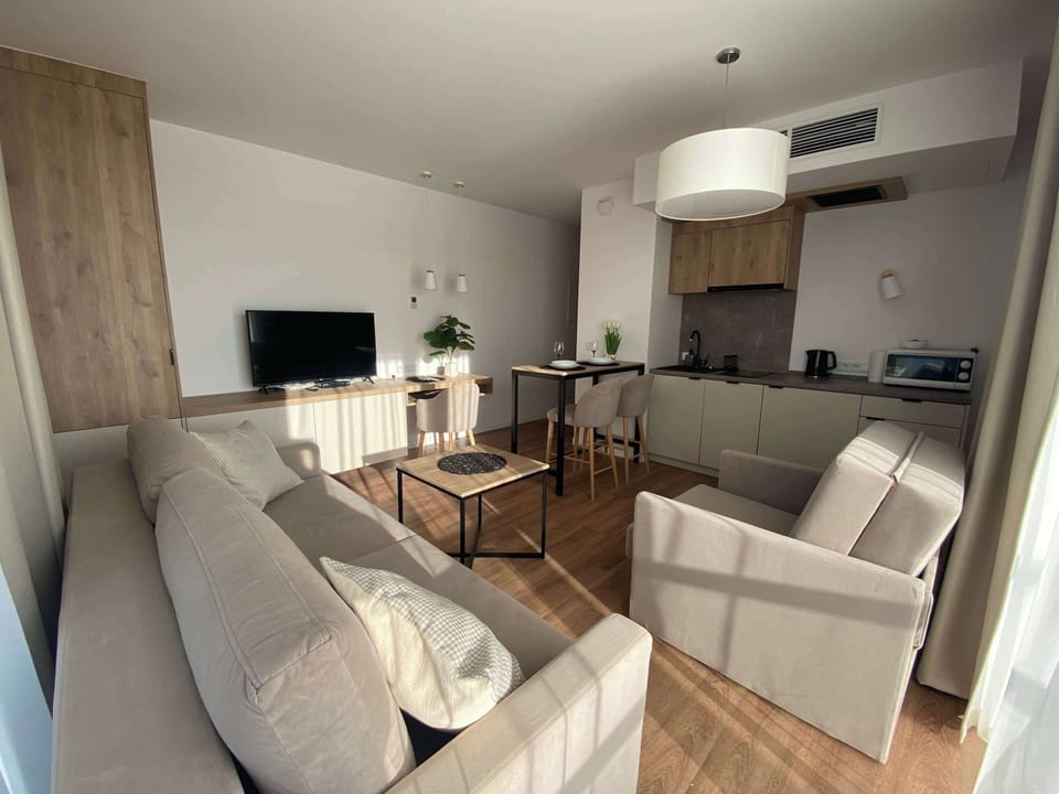 Comfortable fold-out armchair in the living room.