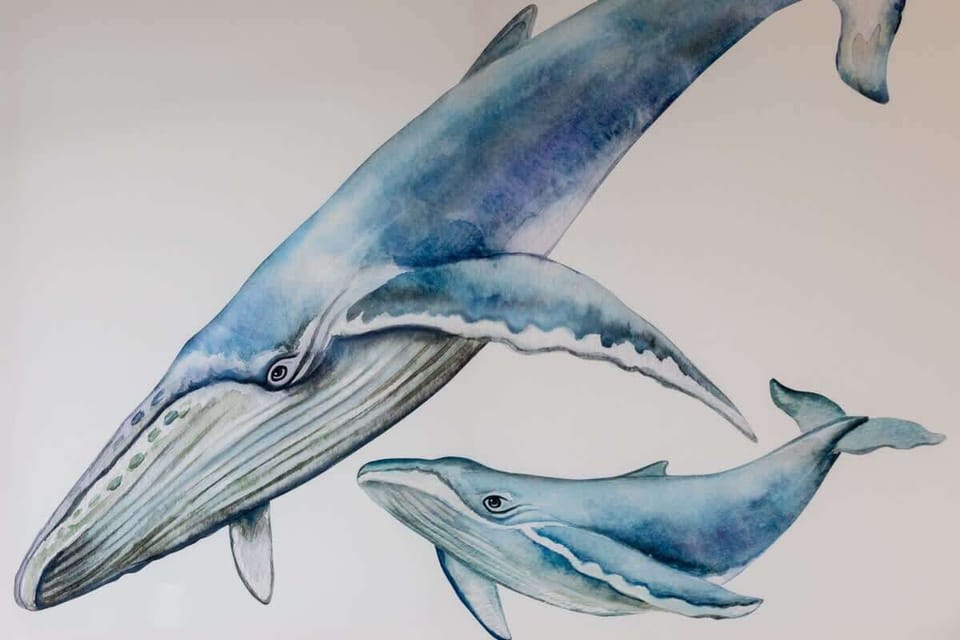 A close-up of wall art featuring a whale, adding an aquatic and calming theme to the decor.
