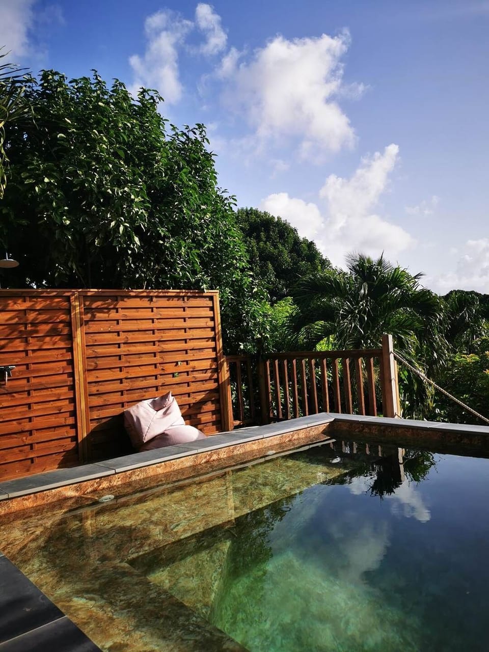 gite-horizon-balisiers-piscine-ombre-vegetation-luxuriante