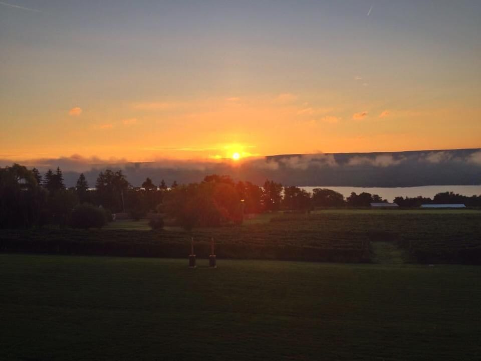 View from property