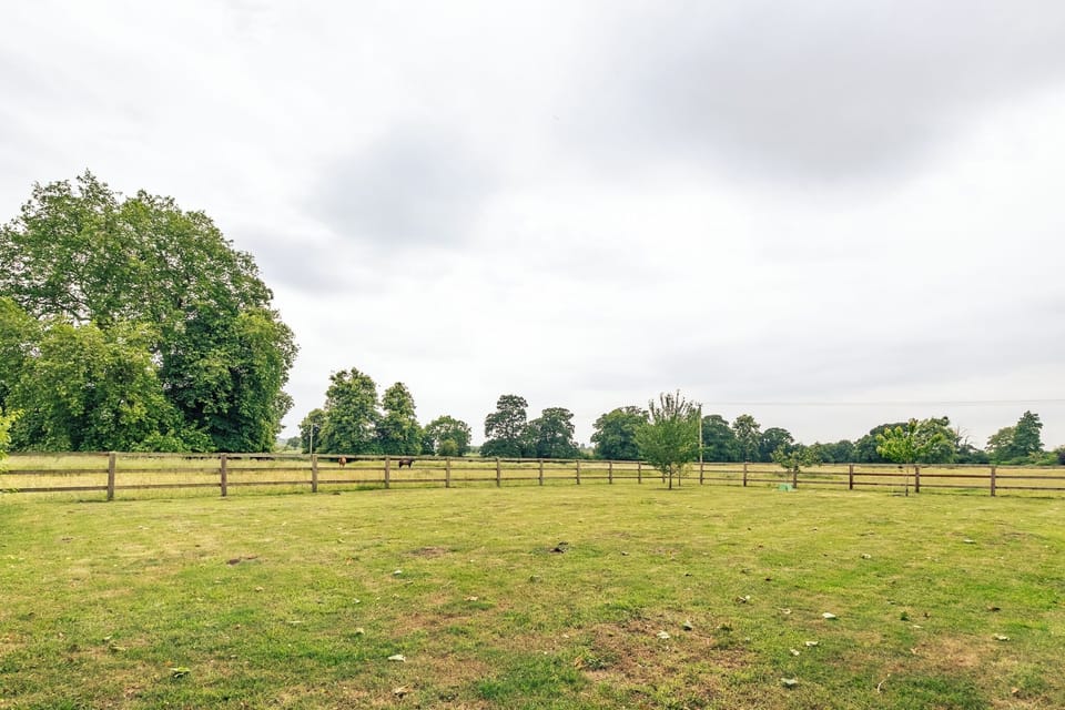 Deluxe Studio, Garden View | Garden view