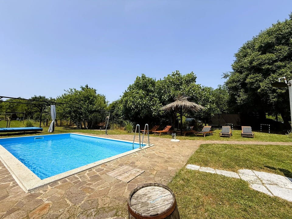 Autumn, Garden, Pool, Spring, Summer
