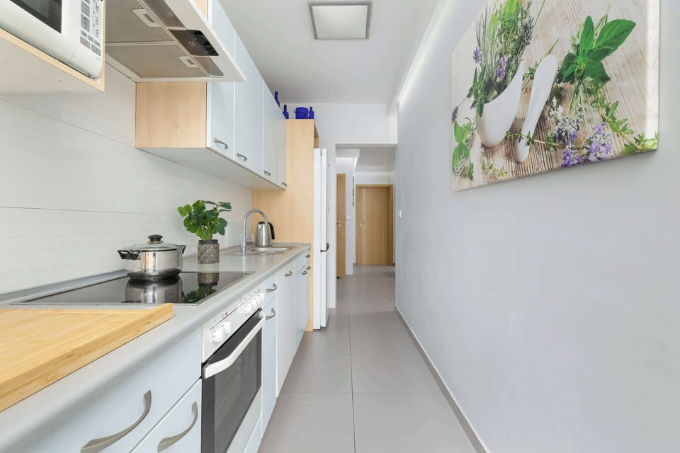 Fully equipped kitchen with electric cooktop, refrigerator with freezer, oven, microwave oven, electric kettle, dishwasher and toaster.