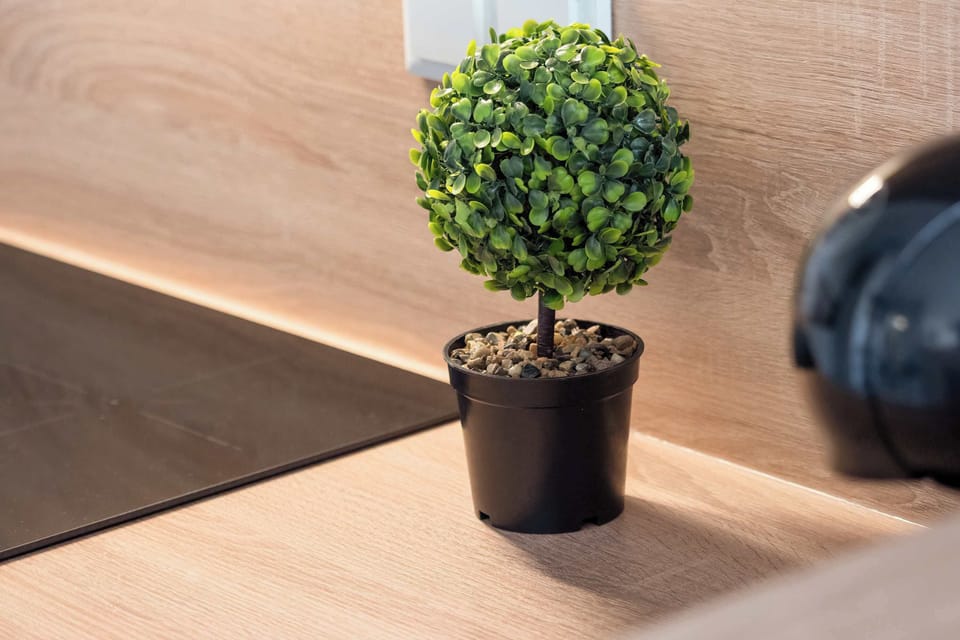 A close-up of a vibrant green plant in a sleek pot, adding a natural touch to the kitchen.

