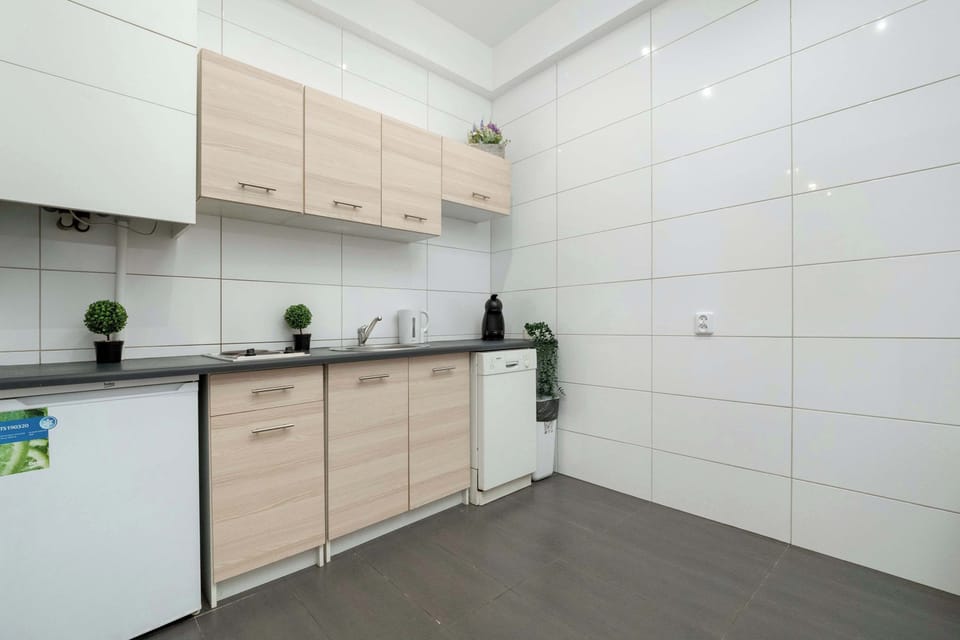 A detailed view of a kitchen counter with a sink, kettle, and small potted plant.