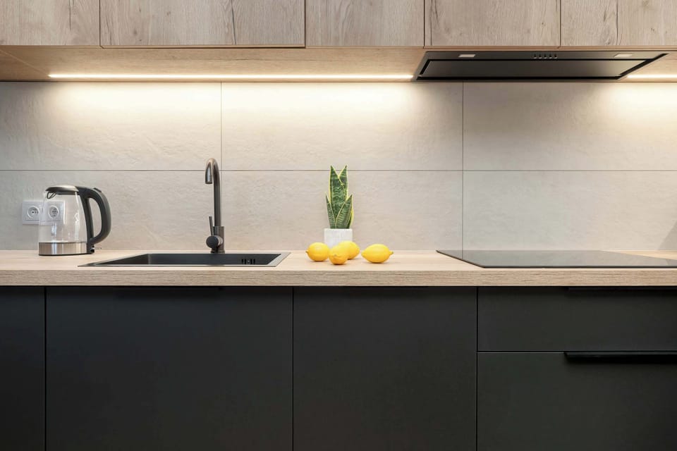 Close-up view of the kitchen counter with a sink, electric kettle, and a plant for decor.