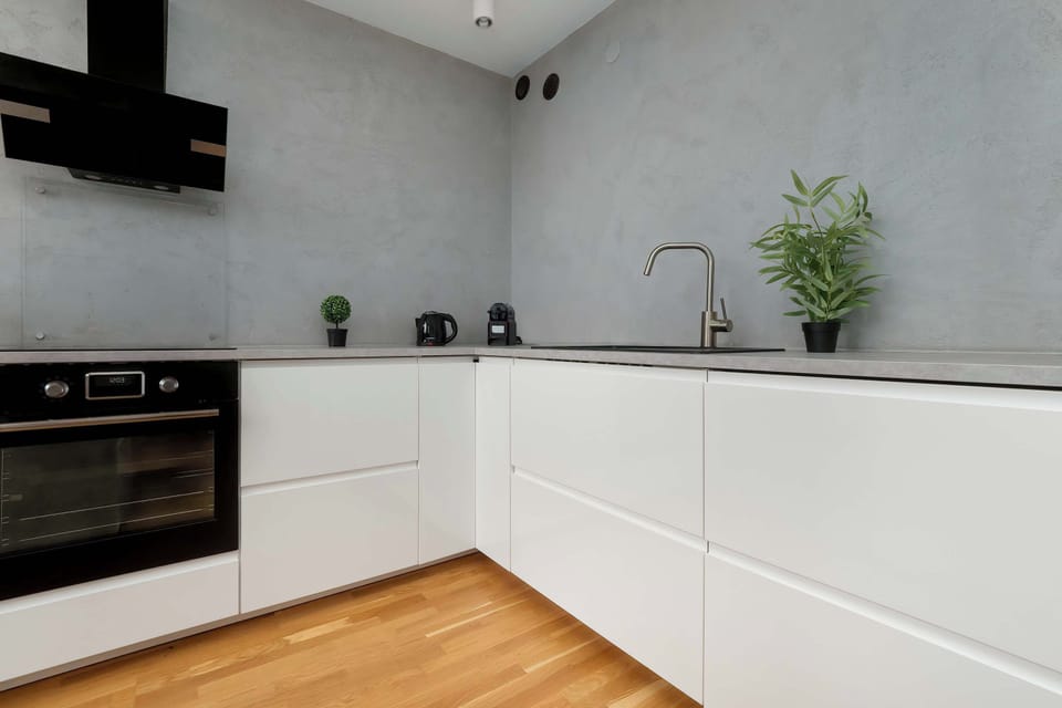 Fully furnished kitchenette with white cabinets, oven, absorber, induction hob and dishwasher.