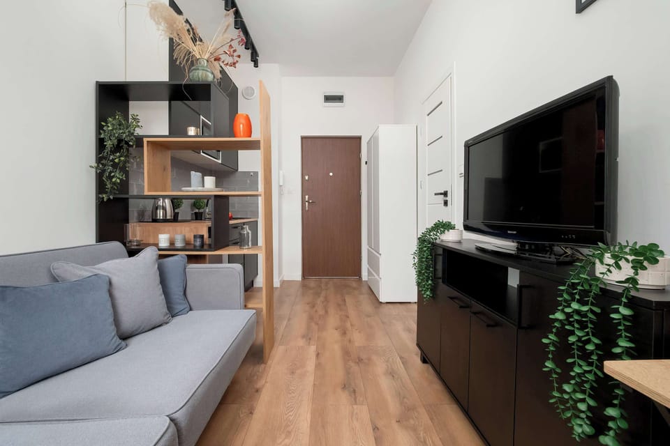 A view from the living area showing the open plan space including the hallway and kitchen corner.