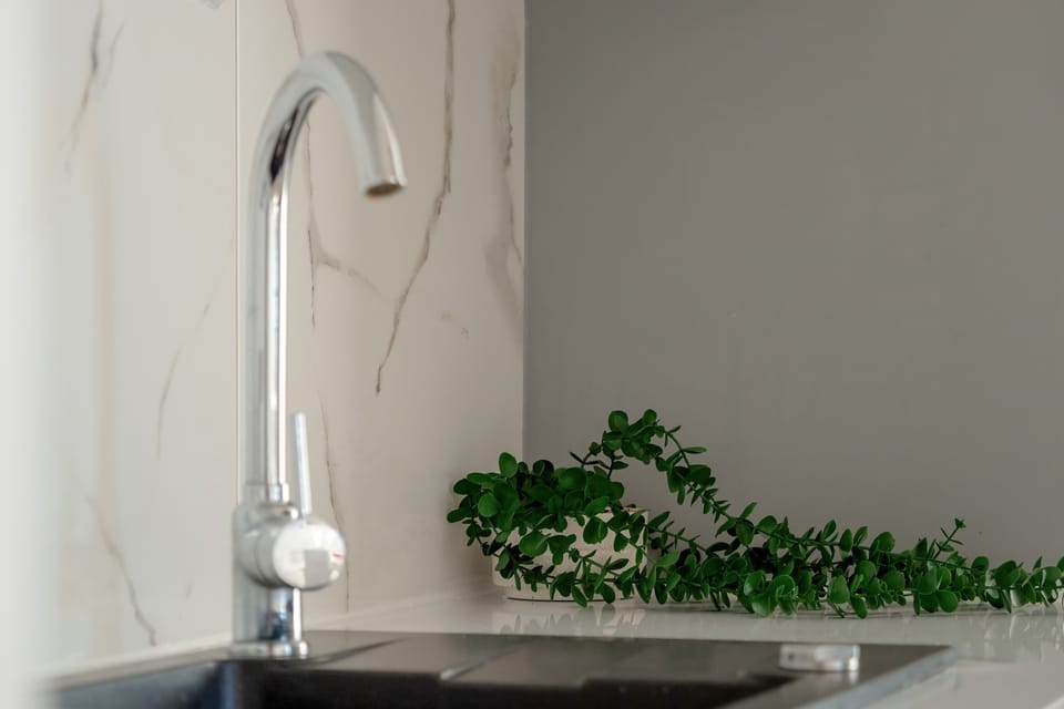 A close-up view of the kitchen counter with a sink, modern faucet, and decorative plants.