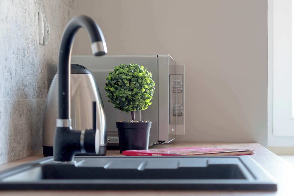 Shows the kitchen sink, countertop, and some decorative items like a potted plant and a kettle.