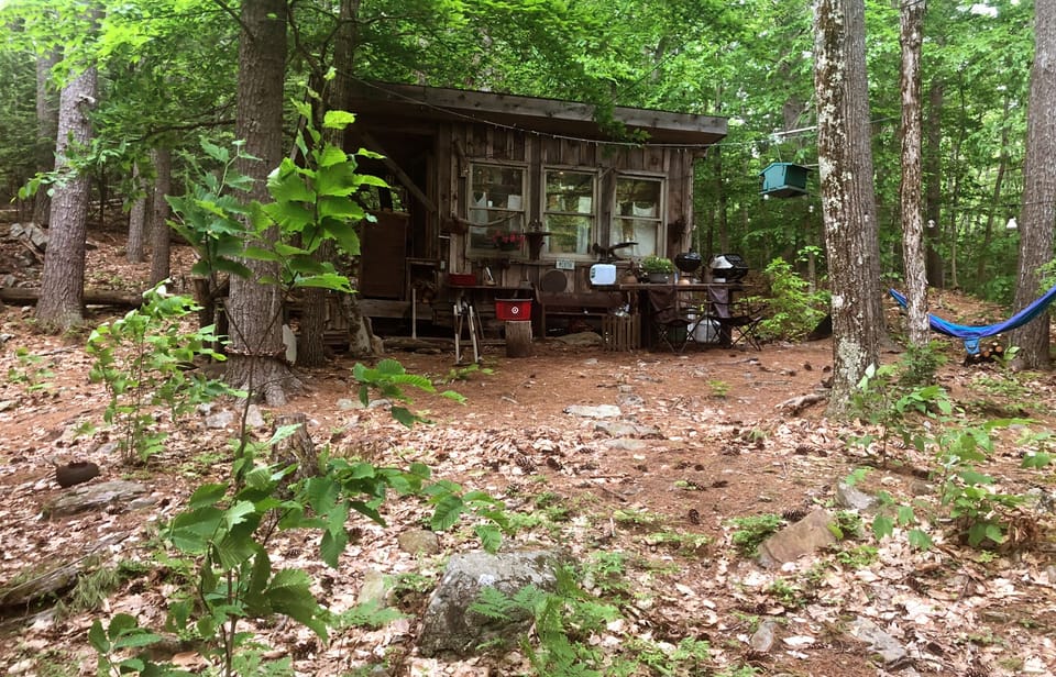 Tiny Earth Cabin in full swing in spring.