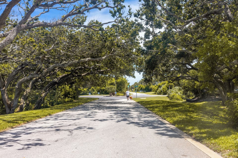 Peaceful shaded path connecting condo to amenities and common areas

