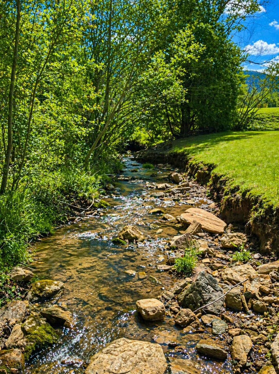 Creekside Patio with Mountain Views