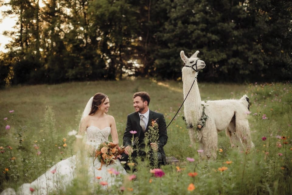 Weddings and events are allowed at the ranch with an additional agreement and fee.